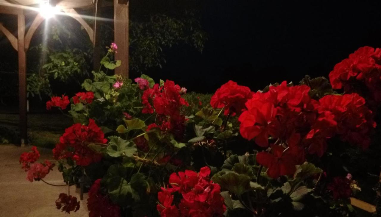 Pokoje Goscinne Gazda Polanica-Zdrój Esterno foto